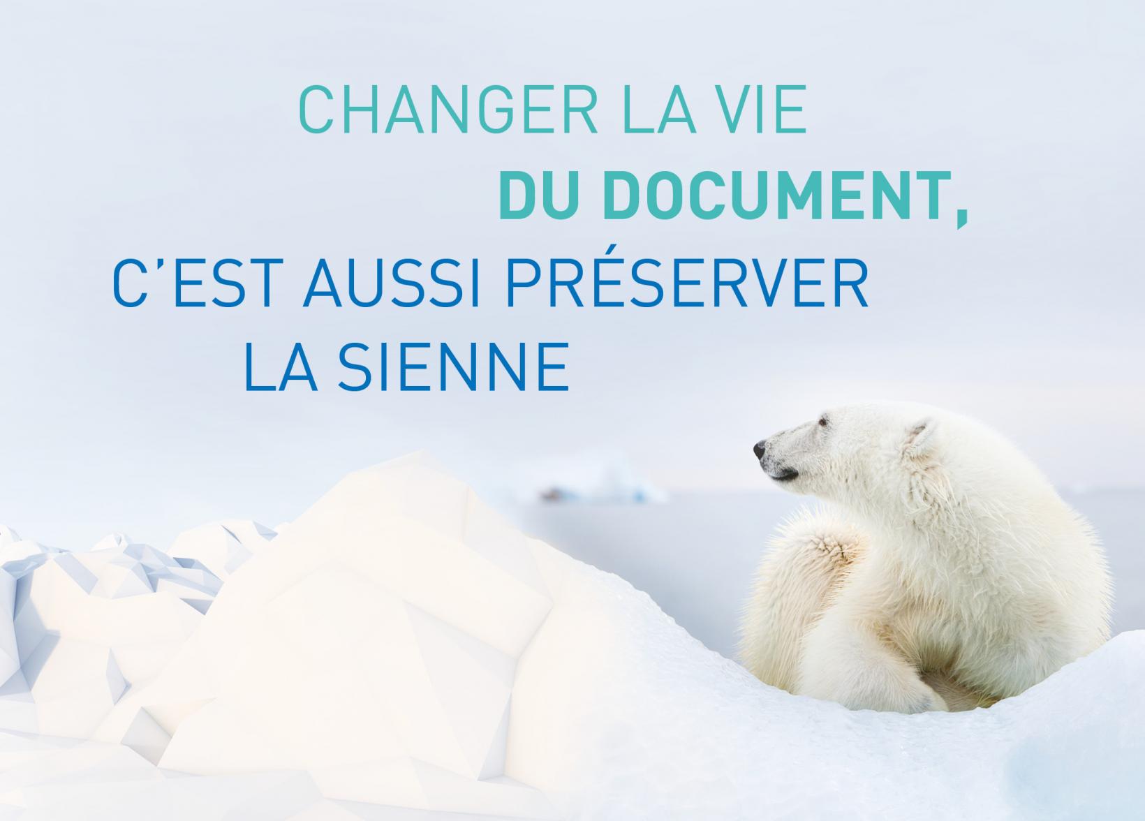 environnement