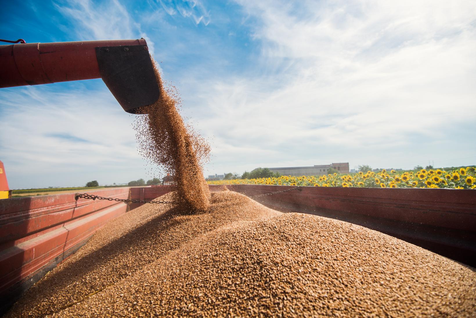 Métiers de l’agro-alimentaire