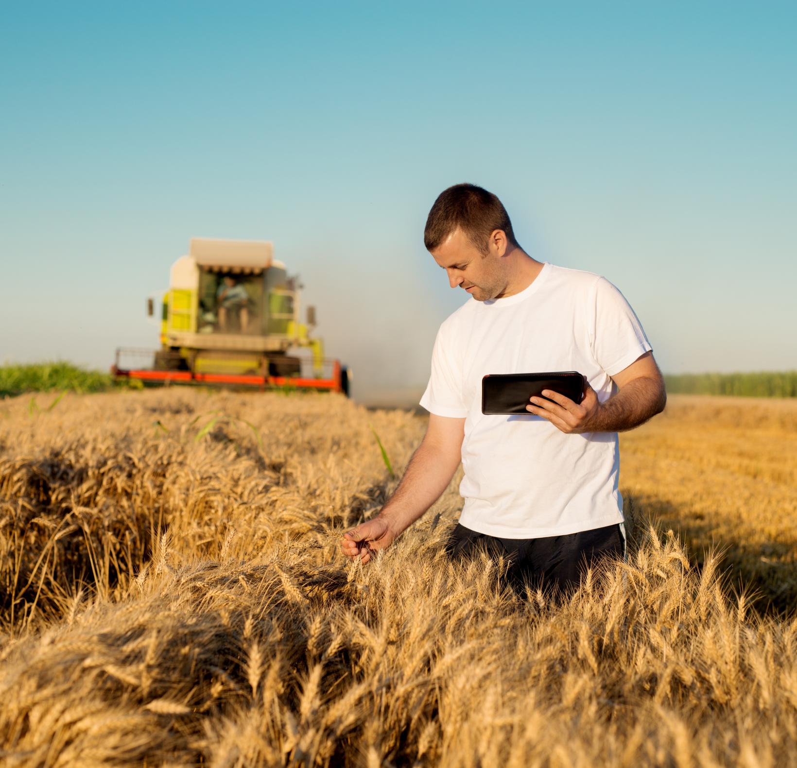 Métiers de l’agro-alimentaire